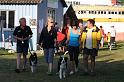 Bild 869